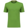 SALEWA Pure Eagle Sketch Alpine Merino T-shirt - Merinoshirt